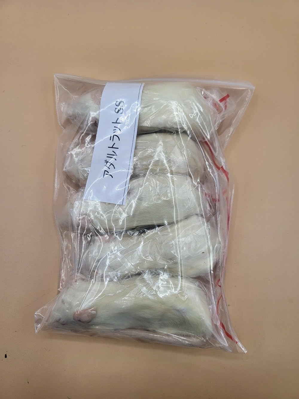 SHOW-YA CD SHOW-YA BIG 30-THE BOX(DVD付)